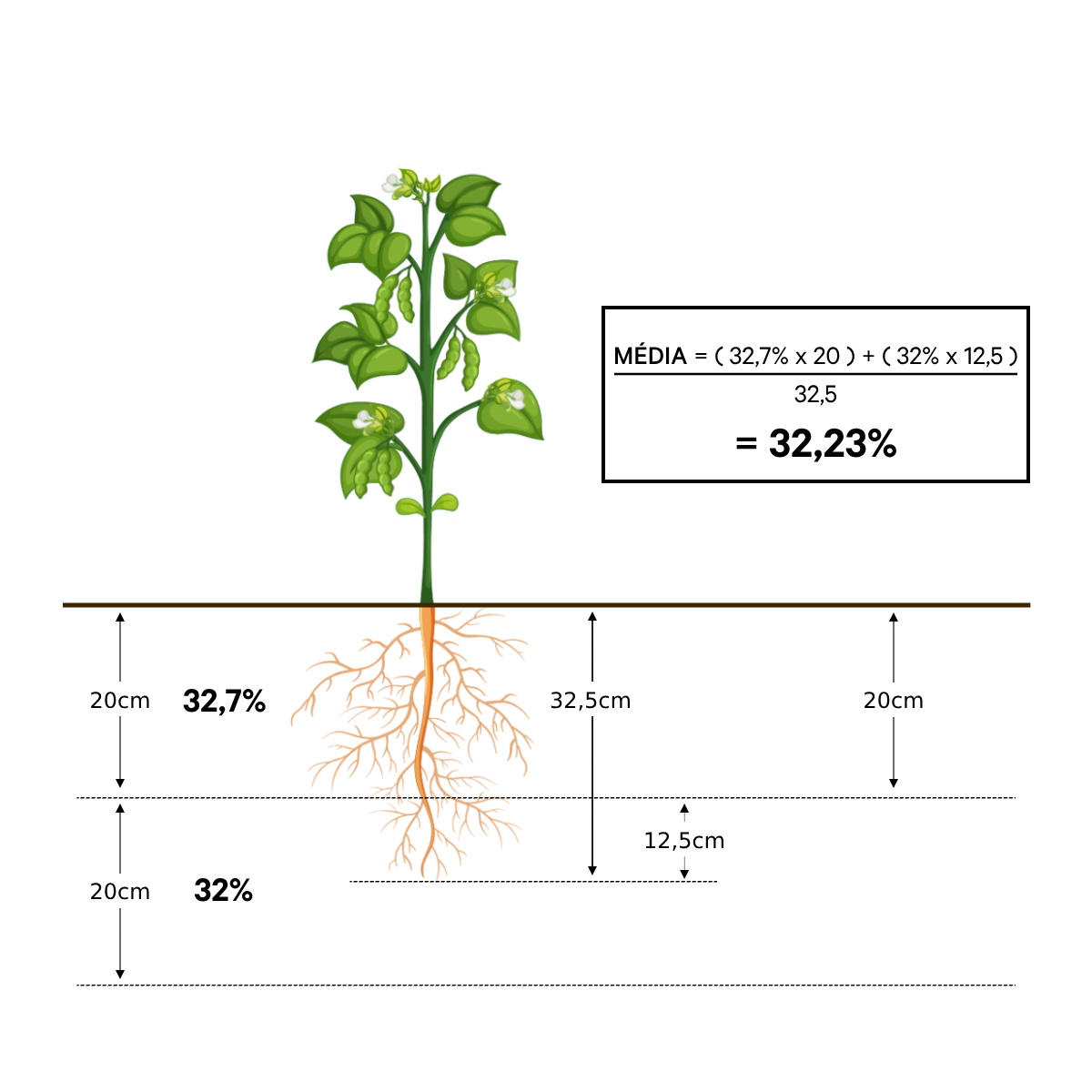 Escala de Severidade